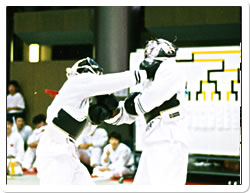 日本拳法の防具について | 日本拳法協会 公式サイト